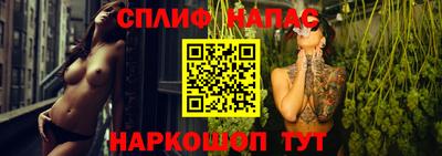 ECSTASY Бийск