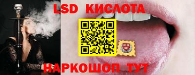 ECSTASY Бийск